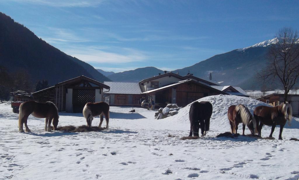 Agriturismo Maso Grisun Borzago Bagian luar foto