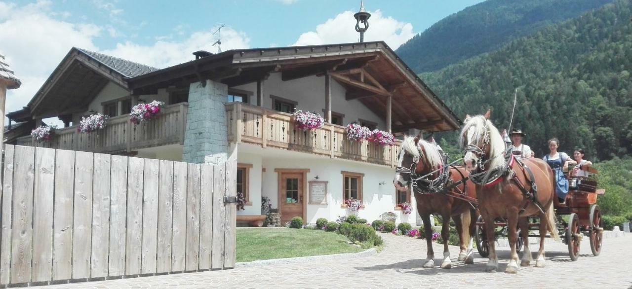 Agriturismo Maso Grisun Borzago Bagian luar foto
